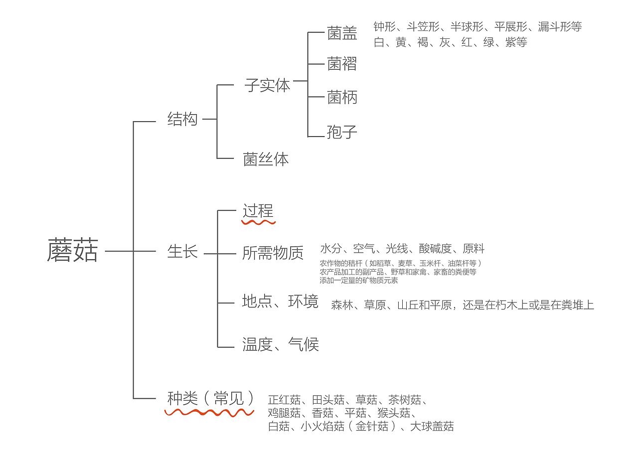 关于蘑菇（图ZMTY3MDY4OTY4） - 信息图表 - 站酷设计师顾大宝00原创素材 - 站酷ZCOOL