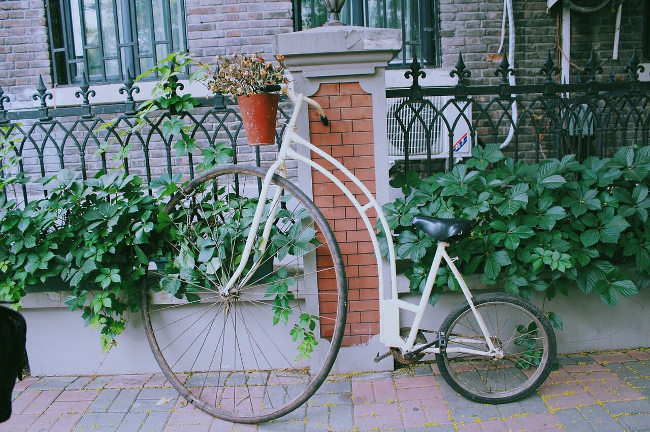 随拍（图ZODkzNDExOTI=） - 产品摄影 - 站酷设计师乌拉雷原创素材 - 站酷ZCOOL