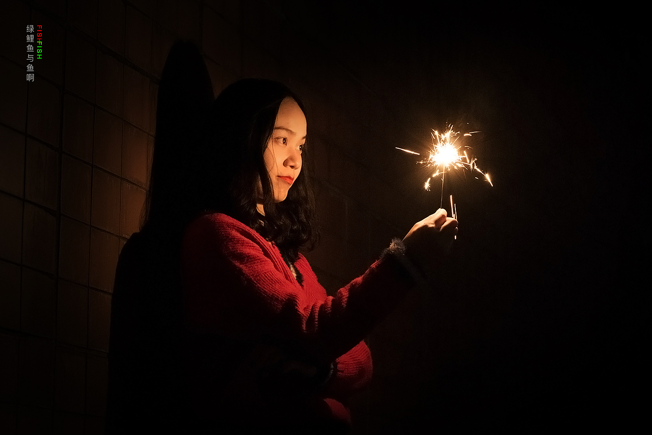 烟花巷陌，依约丹青屏障——烟花摄影