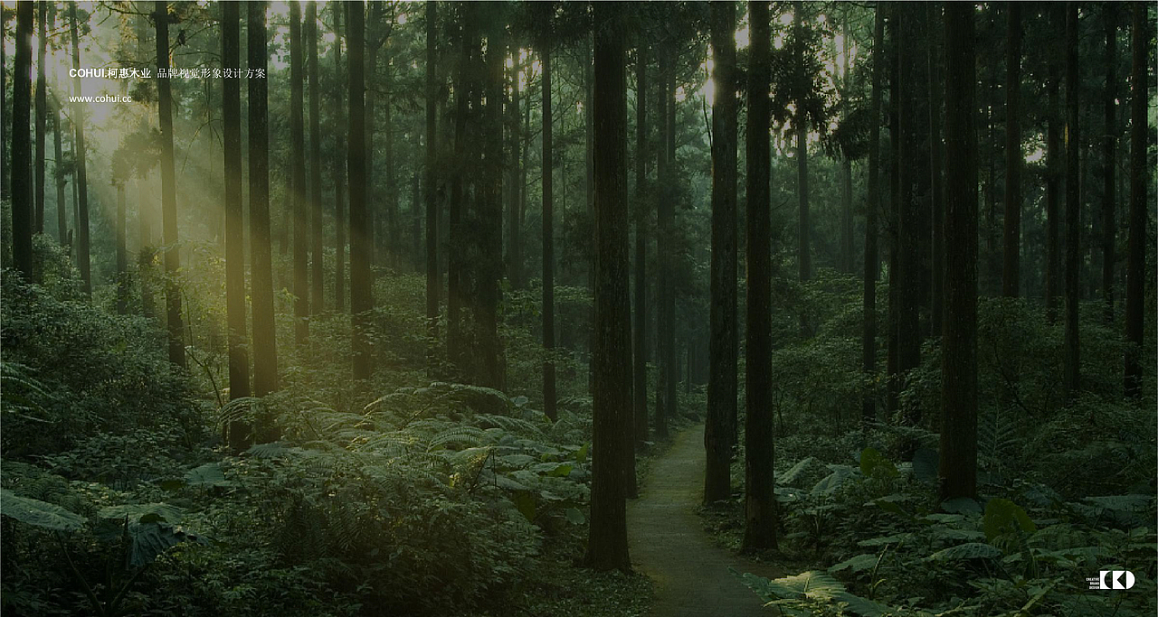 柯惠木皮-品牌策略及定位方案