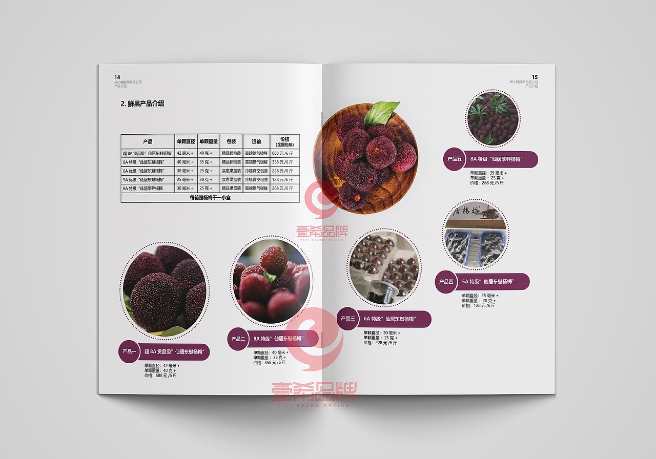 一希品牌设计--杨梅种植公司画册宣传册设计