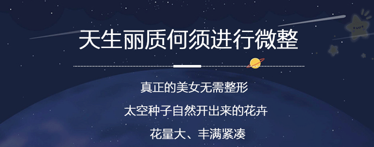 神奇太空种子多花大果实蔬菜（图ZODI2MDgxNjQ=） - 电商 - 站酷设计师龙观科技原创素材 - 站酷ZCOOL