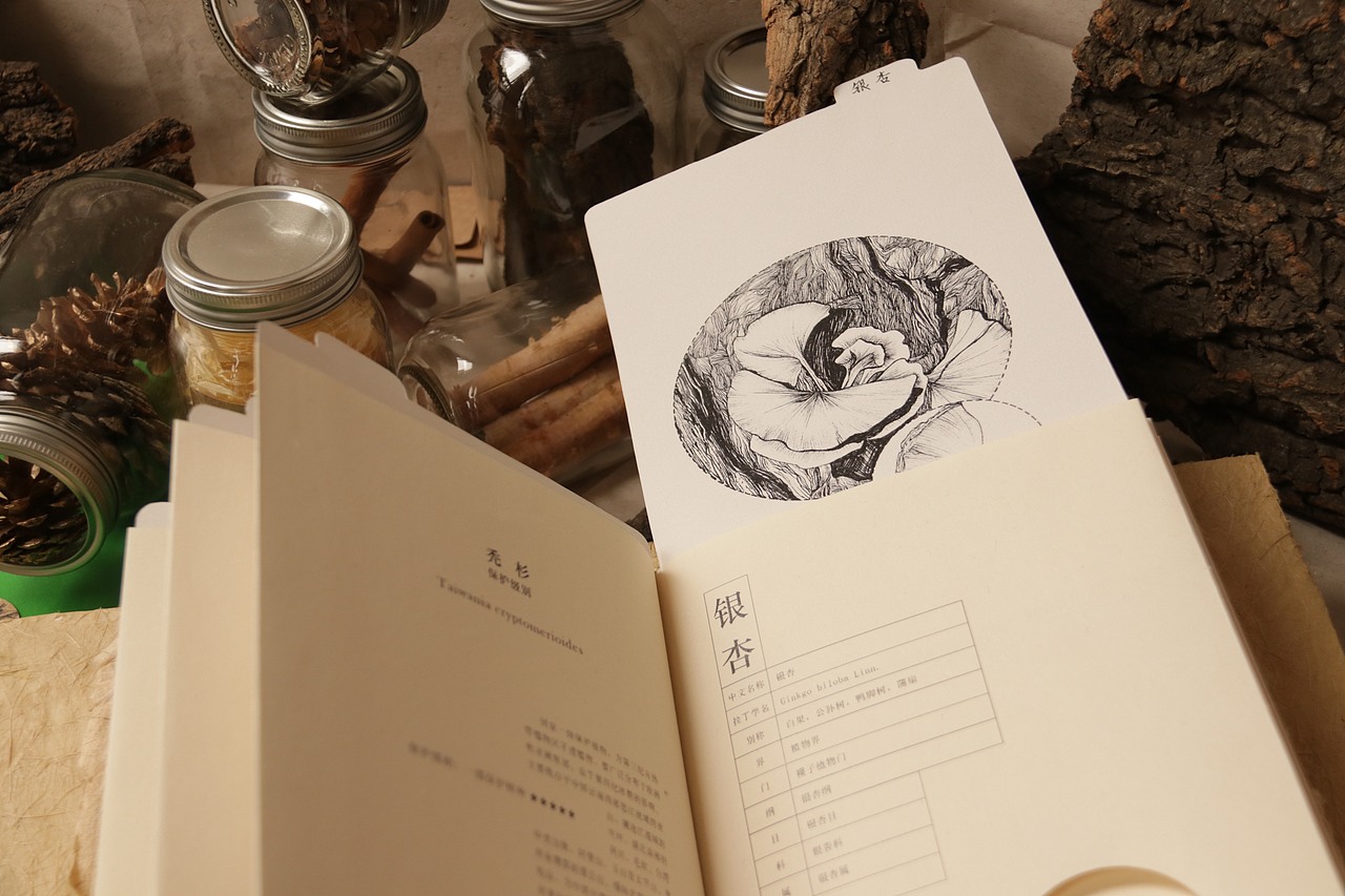 中国濒临树种档案 ｜手工制作书籍（图ZMTIwNzQ1NzAw） - 书籍/画册 - 站酷设计师Cq_H原创素材 - 站酷ZCOOL