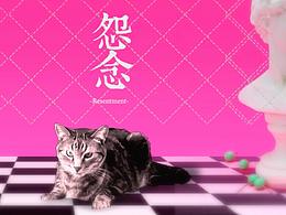 设计说明