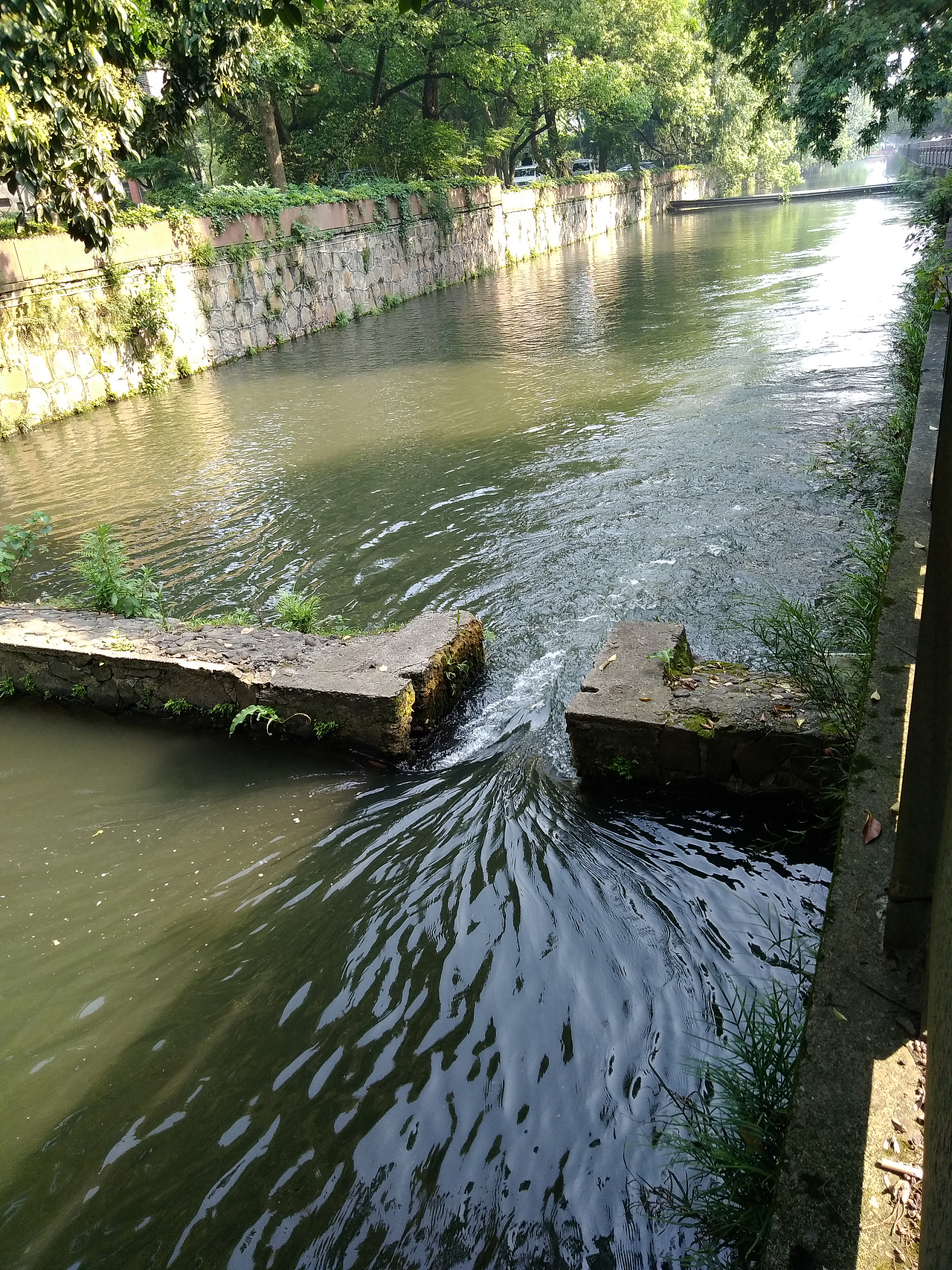 【画杭州】西溪国家湿地公园