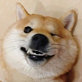 yanjunH的头像