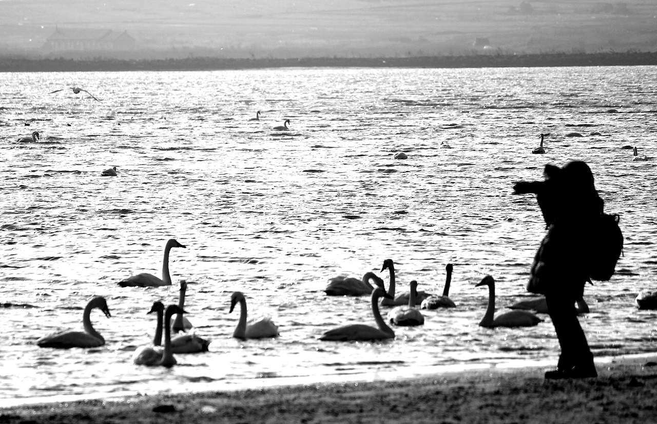 摄影（图ZOTc5MDM2OTY=） - 其他摄影 - 站酷设计师威舞长空原创素材 - 站酷ZCOOL