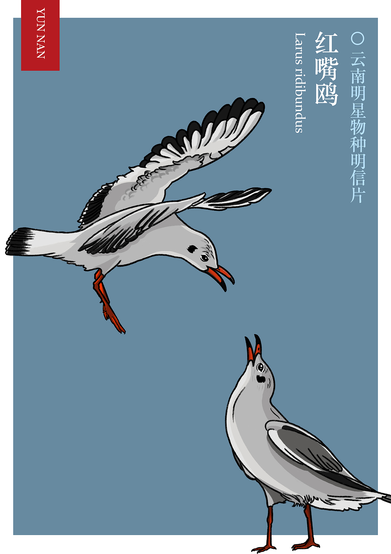 神奇动物在哪里（图ZMjczODA2ODY4） - 商业插画 - 站酷设计师沙子什么的原创素材 - 站酷ZCOOL