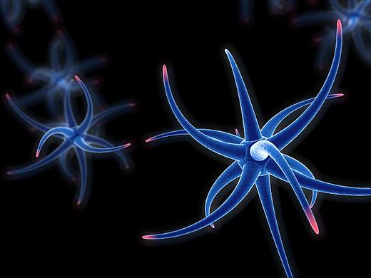 细胞——建模练习