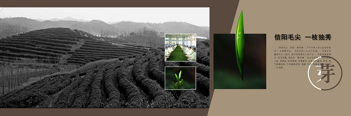 这段工作中的一些版式【博物馆】【展览馆】（图ZMTg5Mjc4MA==） - 品牌 - 站酷设计师wudi77原创素材 - 站酷ZCOOL