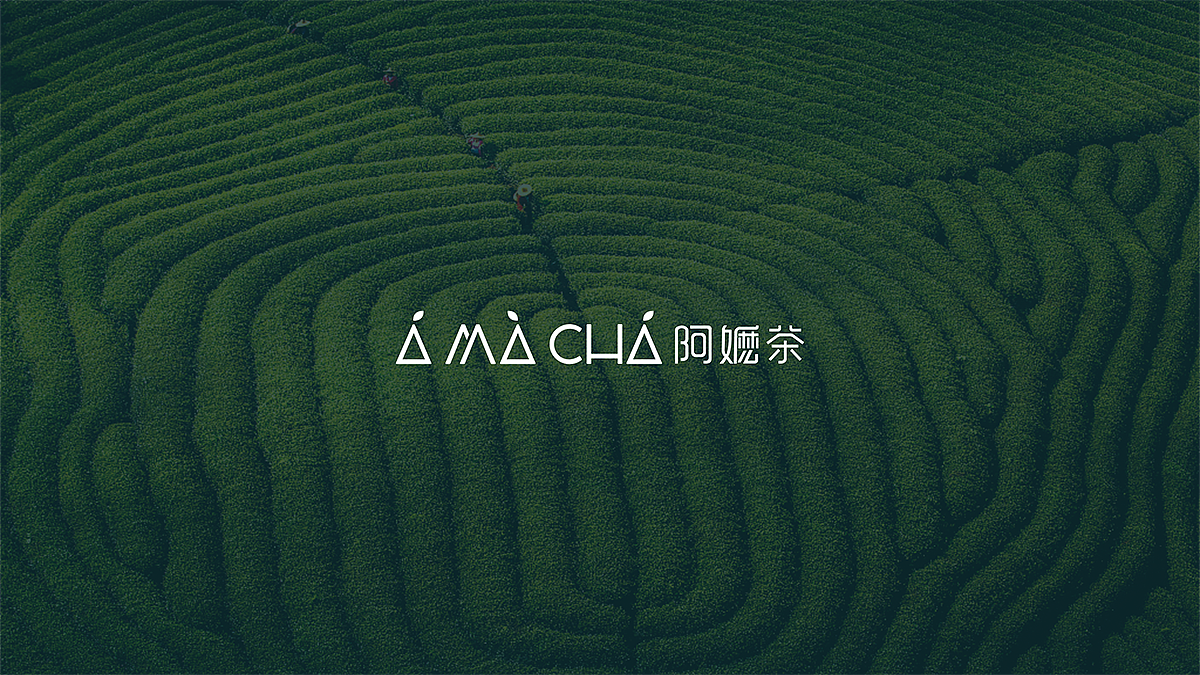 阿嫲茶 品牌设计（图ZMTU0ODUzOTUy） - 品牌 - 站酷设计师联合至上原创素材 - 站酷ZCOOL