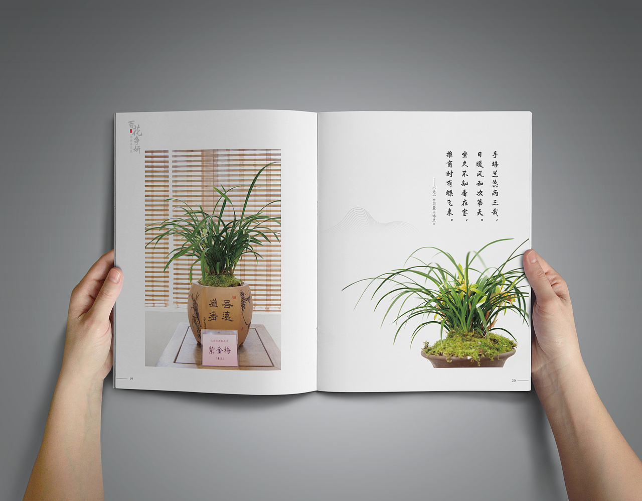 植物園畫(huà)冊(cè)（圖ZMTY4NjY1MTA4） - 書(shū)籍/畫(huà)冊(cè) - 站酷設(shè)計(jì)師siyton原創(chuàng)素材 - 站酷ZCOOL