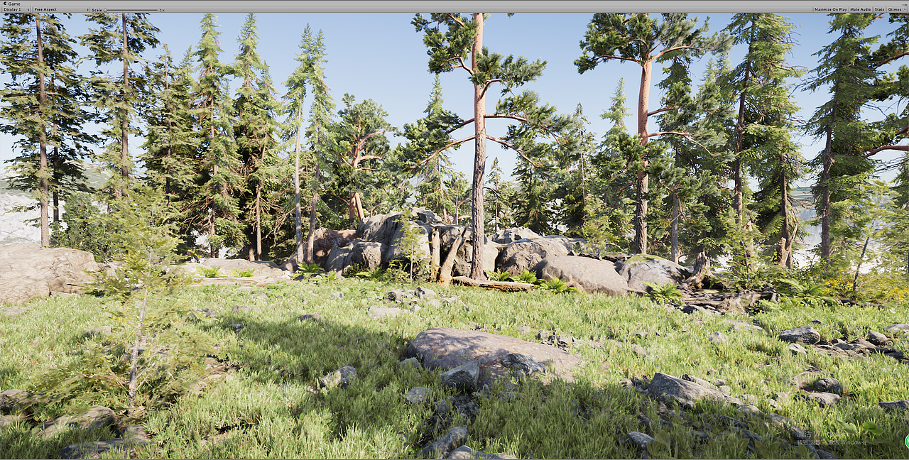 Unity_Environment