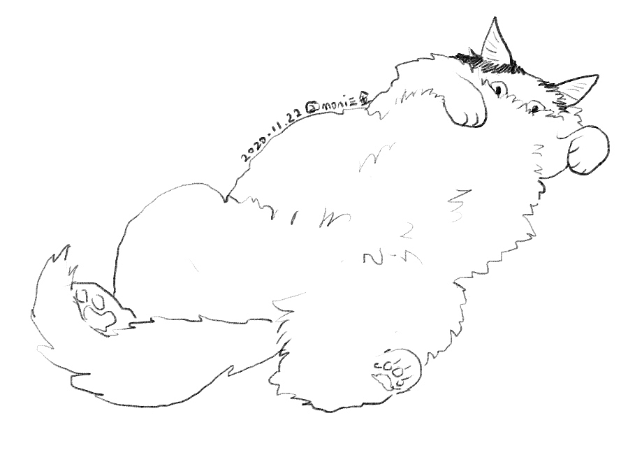 卷卷日常（图ZMjM1ODIxODQ0） - 创作习作 - 站酷设计师喵三山原创素材 - 站酷ZCOOL