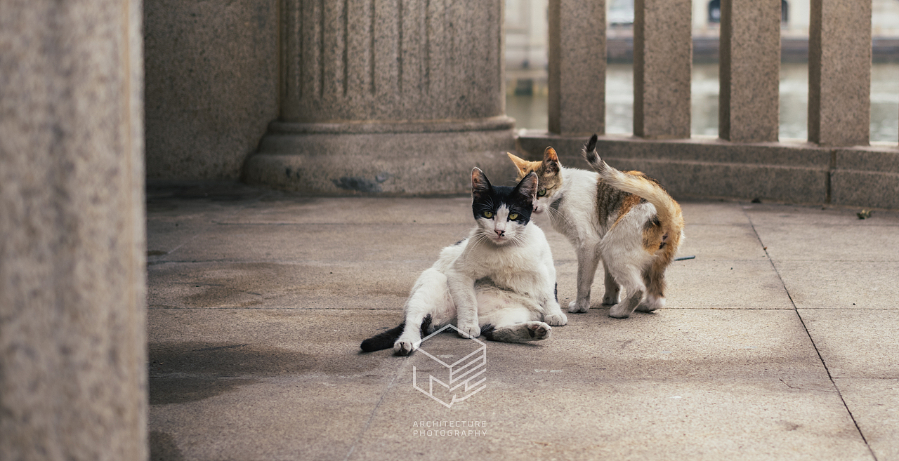 街头摄影|拍好广州-大街小巷系列(4.6日更新)