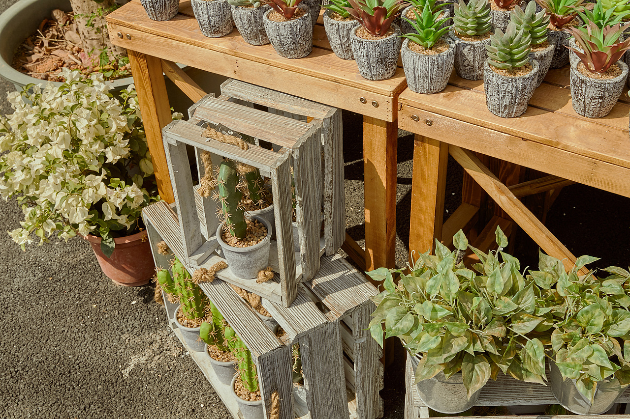 随意门DIMENSION DOOR | 场景004