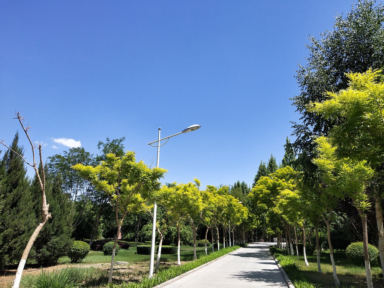 偷得浮沉半日闲