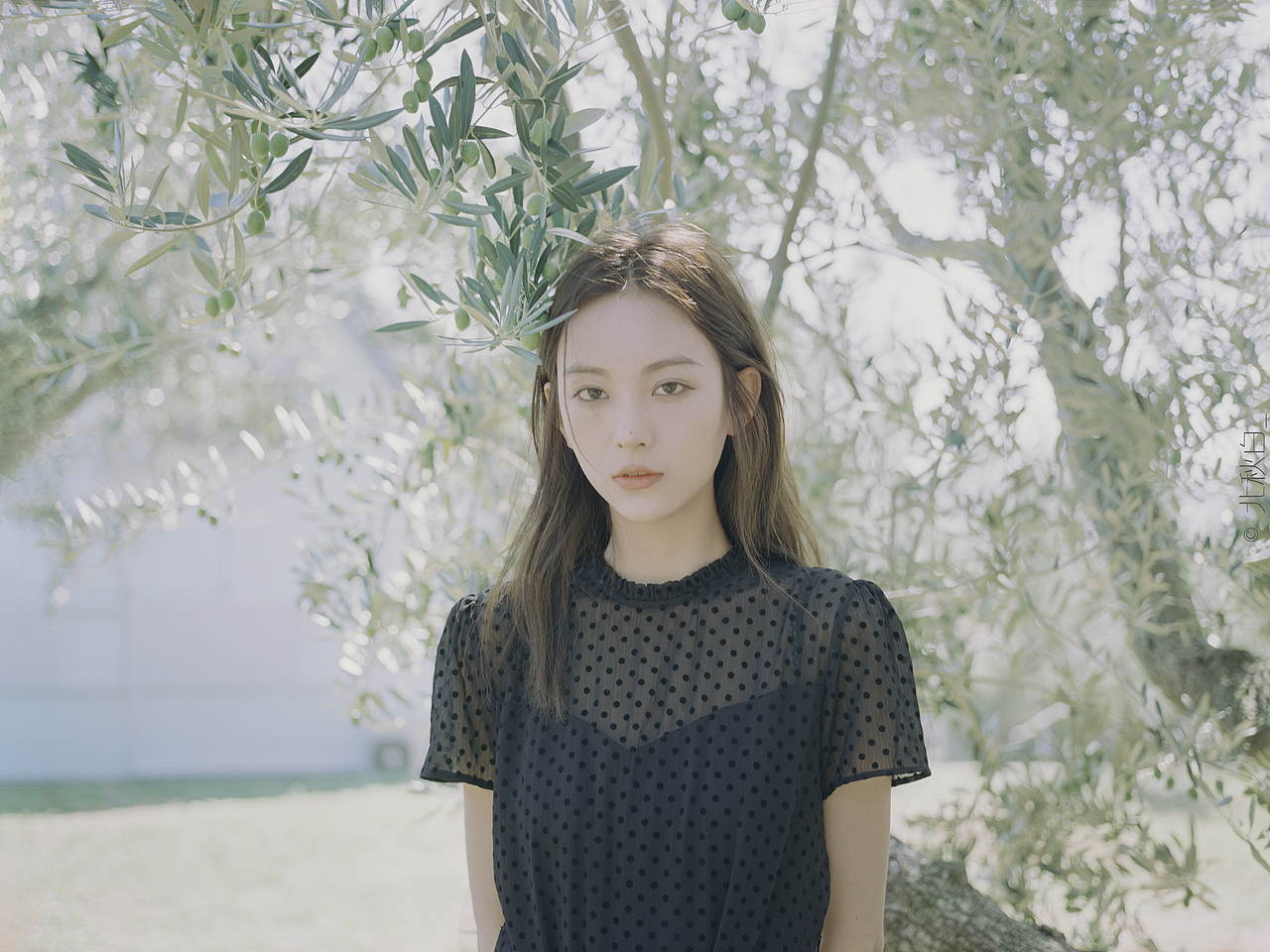 瀬戸内海の輝き