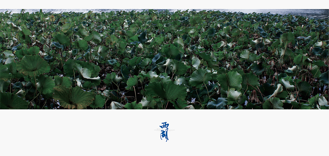 浓妆淡抹 · 总相宜