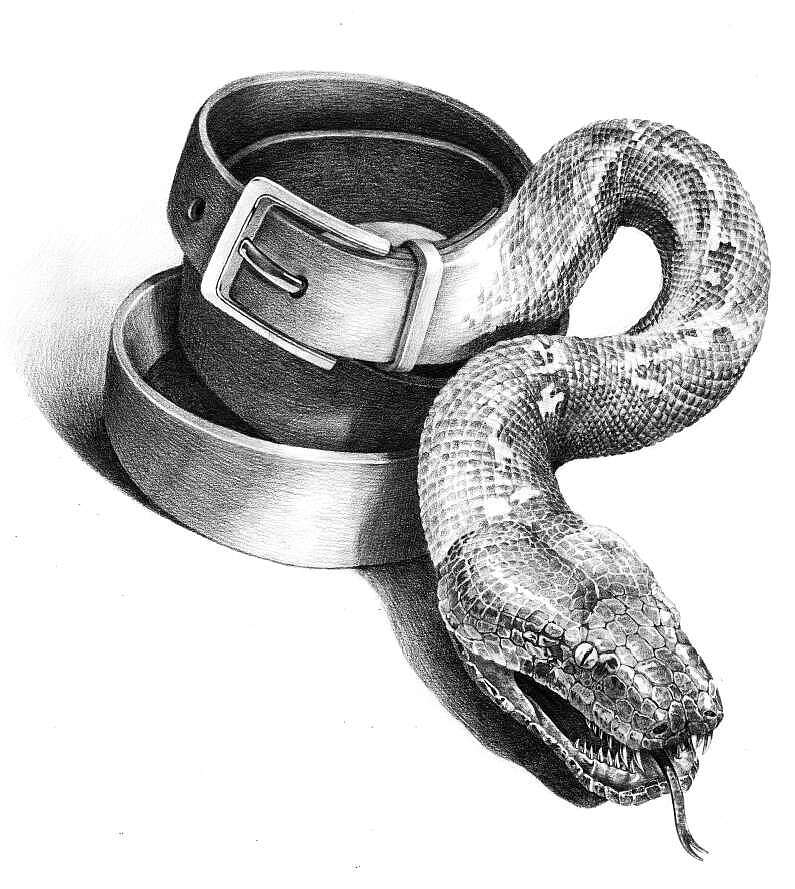 铅笔素描画-超现实动物素描画和古老植物装饰画