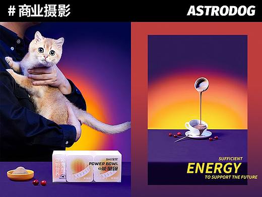 宠物食品摄影-安贝能量碗 宠物营养餐糊 幼猫犬保健品