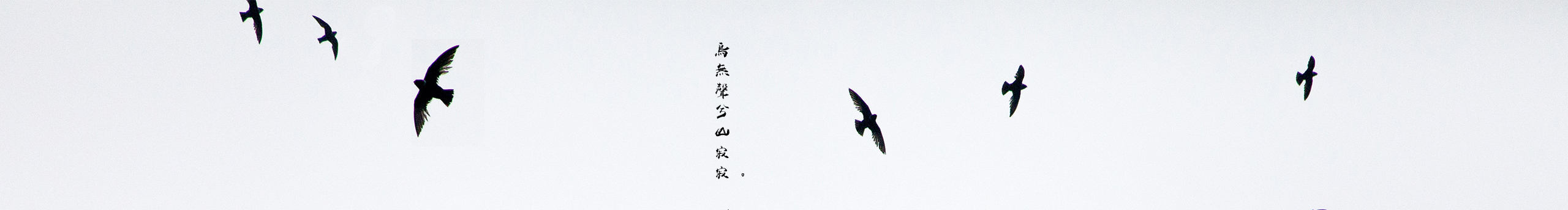 顾明的个人主页（封面预览） - 主页封面设置 - 站酷设计师顾明原创素材 - 站酷ZCOOL