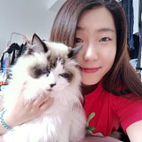 陈皮糖OO的头像