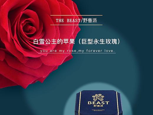 專題頁設(shè)計（練手）（個人主頁-ZMjQ1NDg3Mjg=） - 運營設(shè)計 - 站酷設(shè)計師Lilyseven原創(chuàng)素材 - 站酷ZCOOL