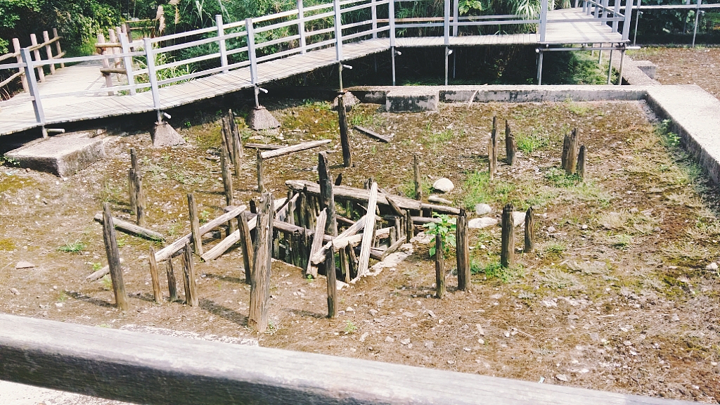 来来往往河姆渡