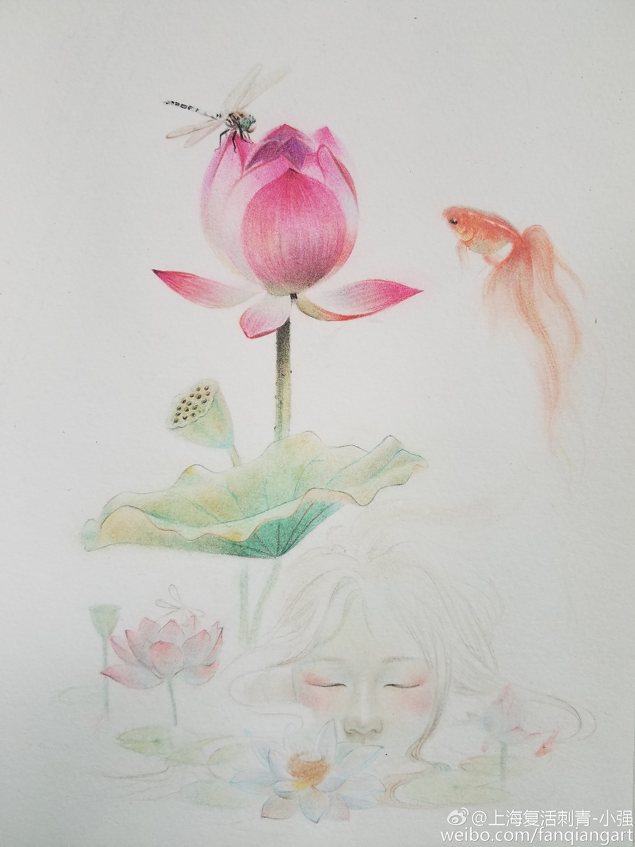 原创彩铅莲花和鱼