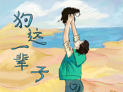 狗这一辈子