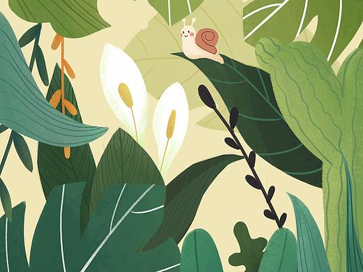  植物插画
