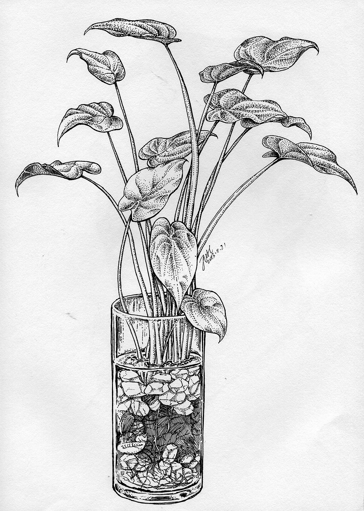 家里的植物（图ZMzY5MTEwNjA=） - 绘画 - 站酷设计师j88love原创素材 - 站酷ZCOOL