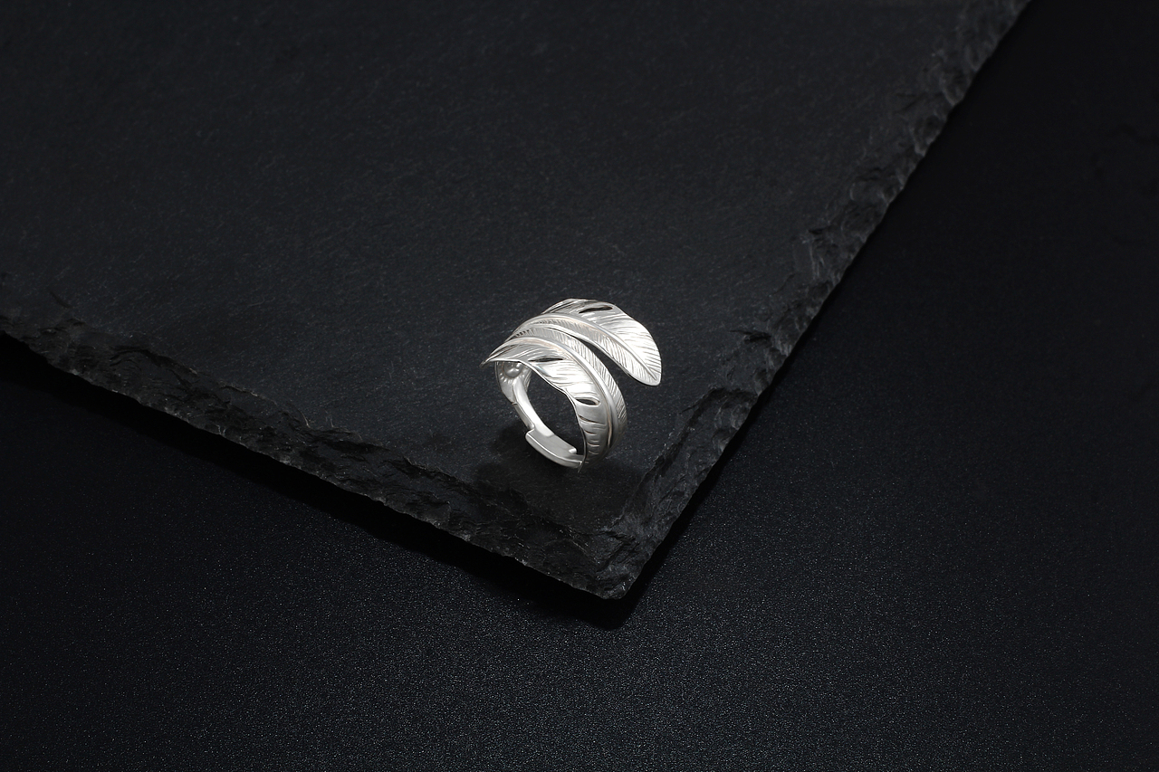 羽毛戒指（图ZMTU3MTY2MjA4） - 修图/后期 - 站酷设计师Z38490362原创素材 - 站酷ZCOOL