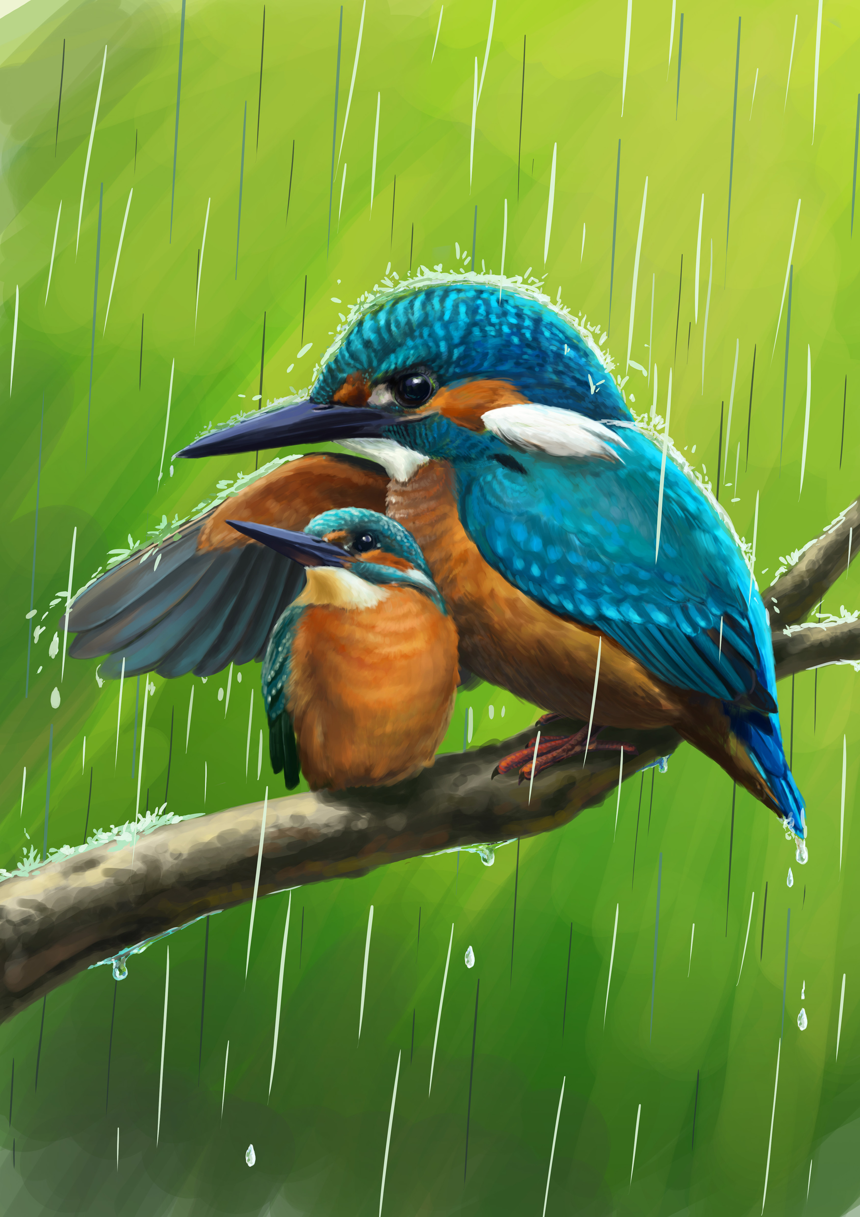 翠鸟|插画|商业插画|black巡洋舰 - 原创作品 - 站酷 (zcool)