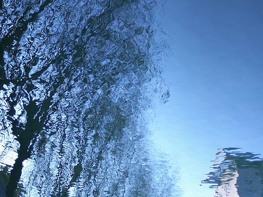 手机随拍湖中倒影校园