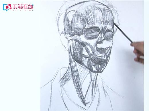 美术素描结构头像详细教学视频