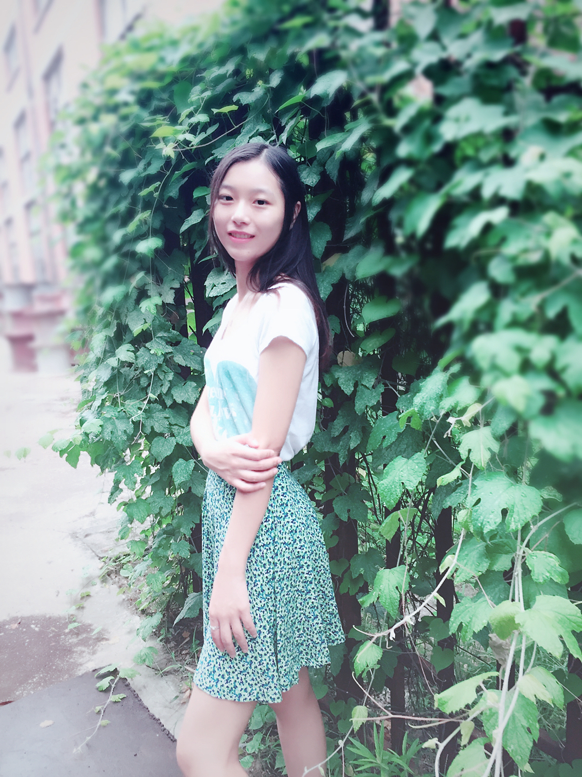 清晨的绿洲清晨的你