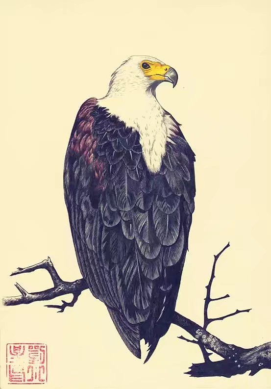 鬼马刺客:画画?画个鸟!
