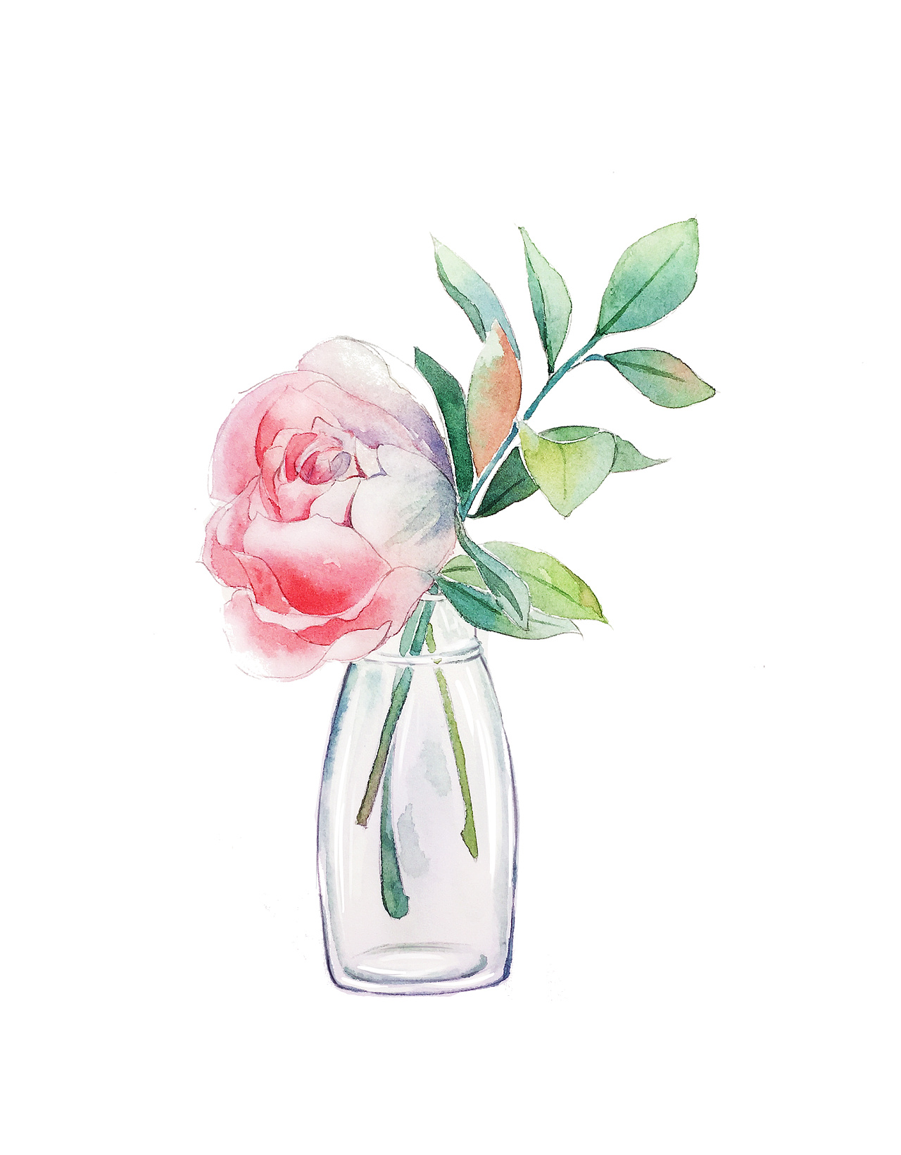 水彩花卉|插画|创作习作|skecy170 - 原创作品 - 站酷 (zcool)