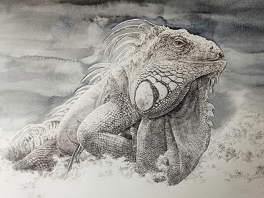 《那些王》系列-蜥