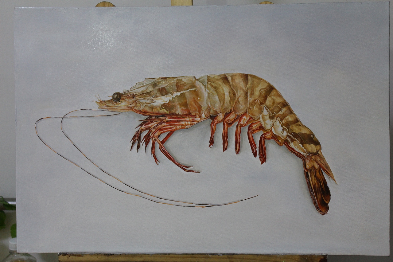 油画大虾