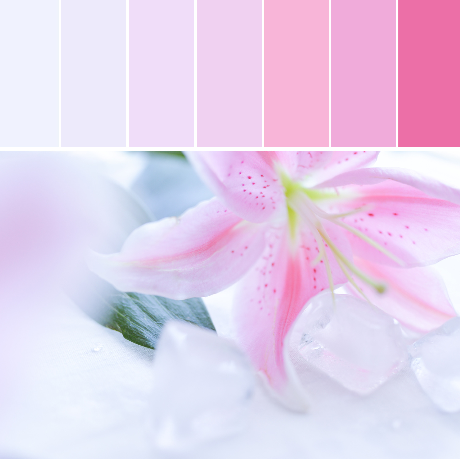 【拾一缕色,慰一季阳光】----莫兰迪色系色卡