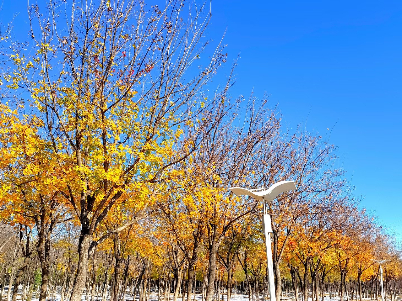 冬是慢入的,但冷却是突然的…