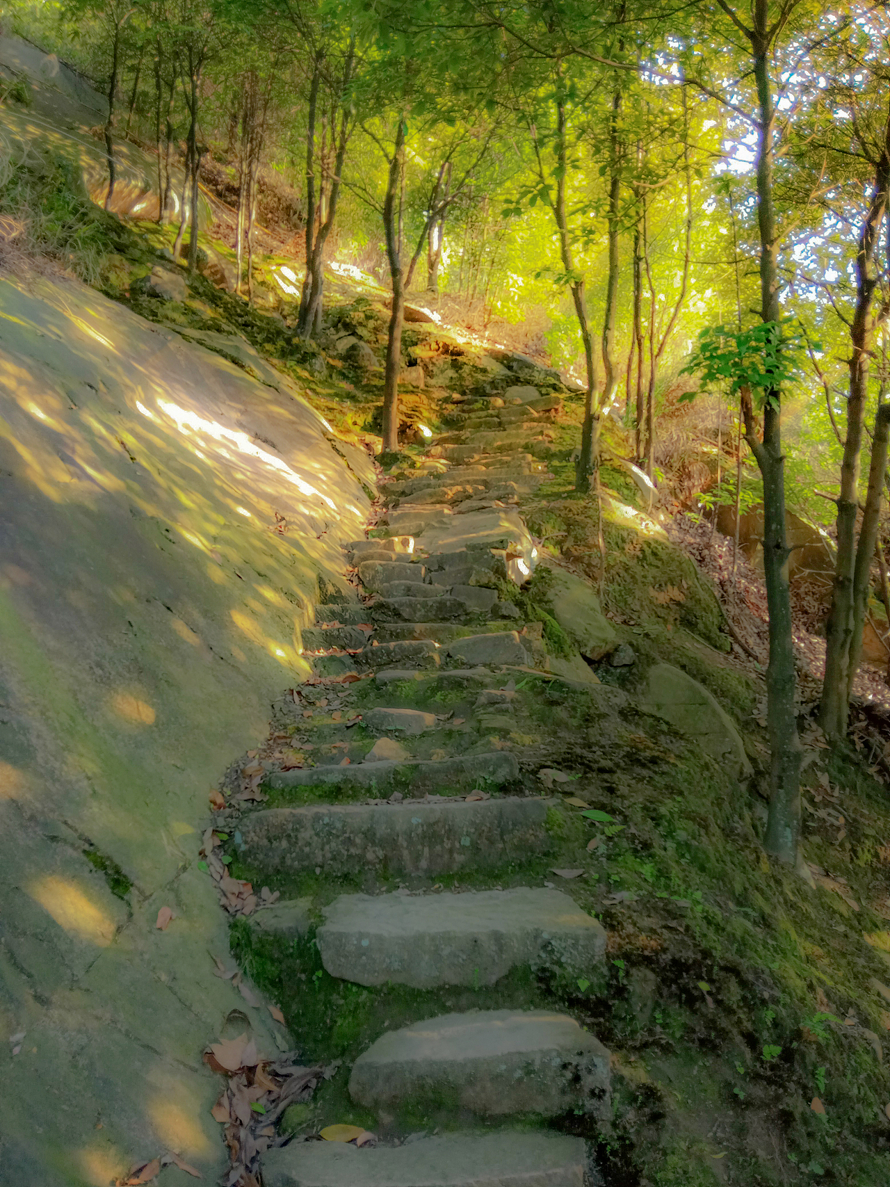 山城爬山记录