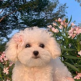乜清之的头像