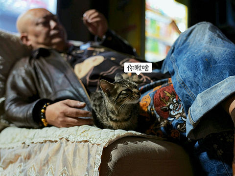 “图标可以改变世界”.
