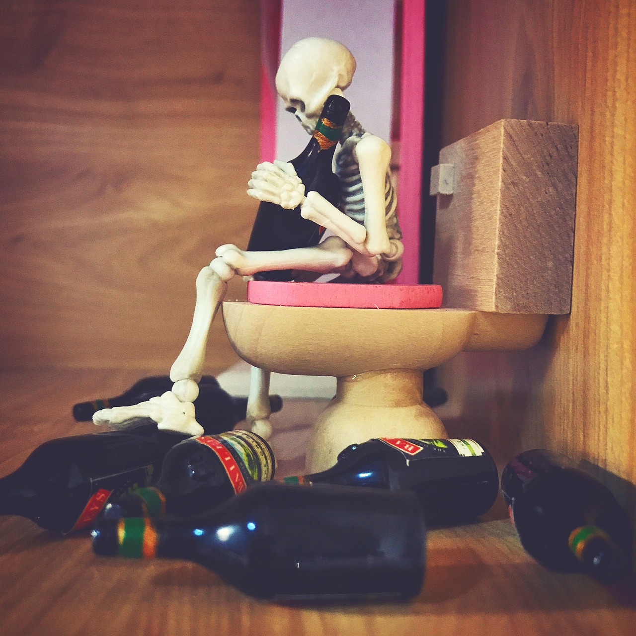 分享收藏寂寞在找我我和安静陪着你,像孤独的委屈骷髅猫,骷髅狗,正式