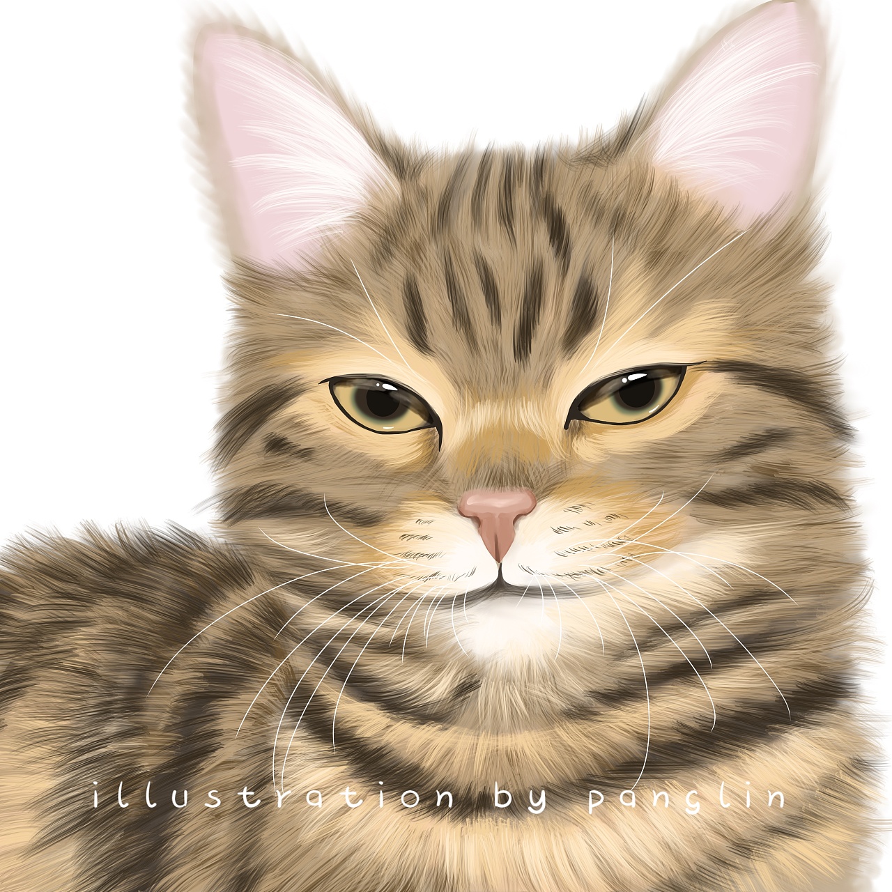 插画作品猫咪大头照|插画|儿童插画|胖琳panglin - 原创作品 - 站酷