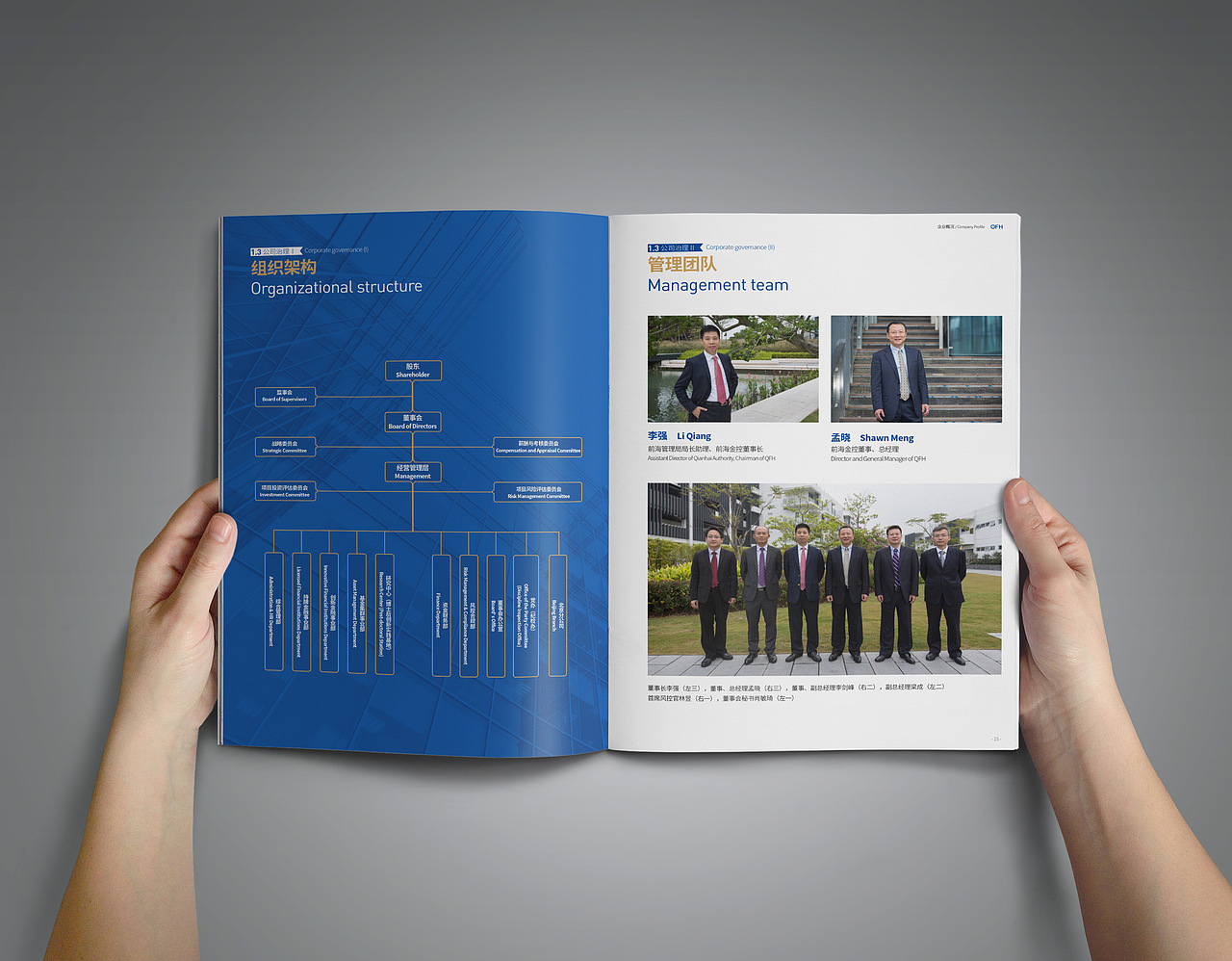 金融公司年刊画册